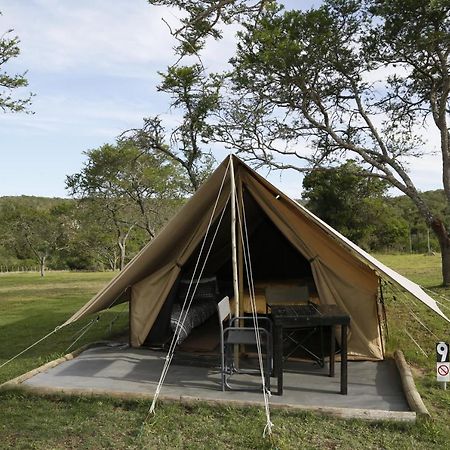 Horseshoe Game Reserve 이스트런던 외부 사진