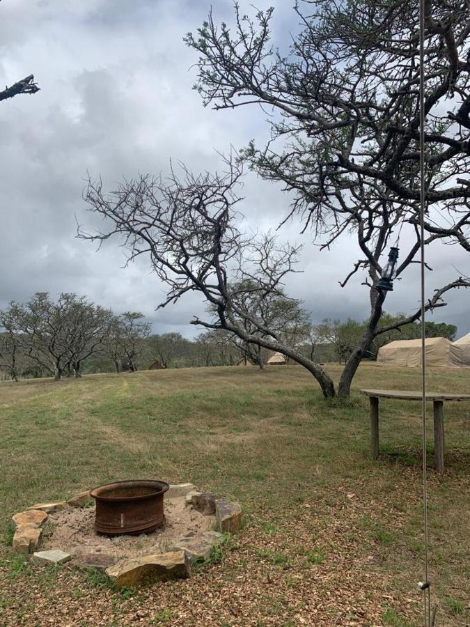 Horseshoe Game Reserve 이스트런던 외부 사진
