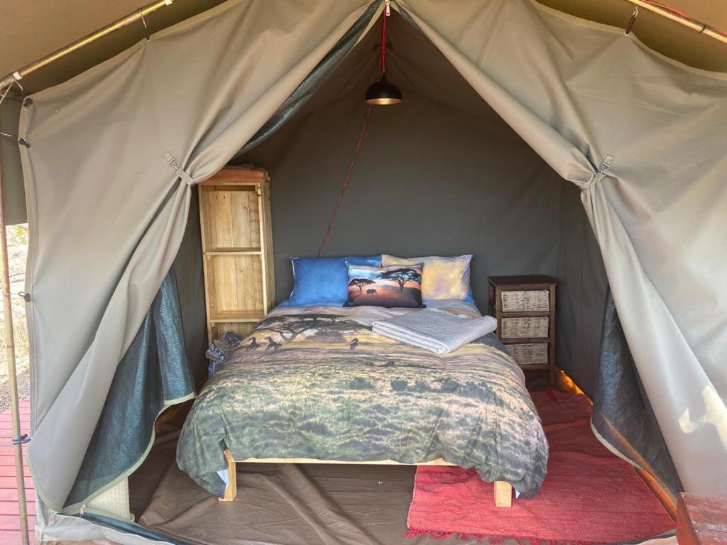 Horseshoe Game Reserve 이스트런던 외부 사진