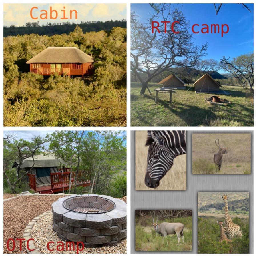 Horseshoe Game Reserve 이스트런던 외부 사진