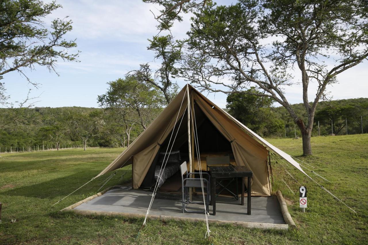 Horseshoe Game Reserve 이스트런던 외부 사진